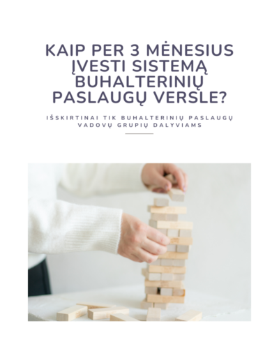 Kaip per 3 mėnesius įvesti sistemą buhalterinių paslaugų versle?