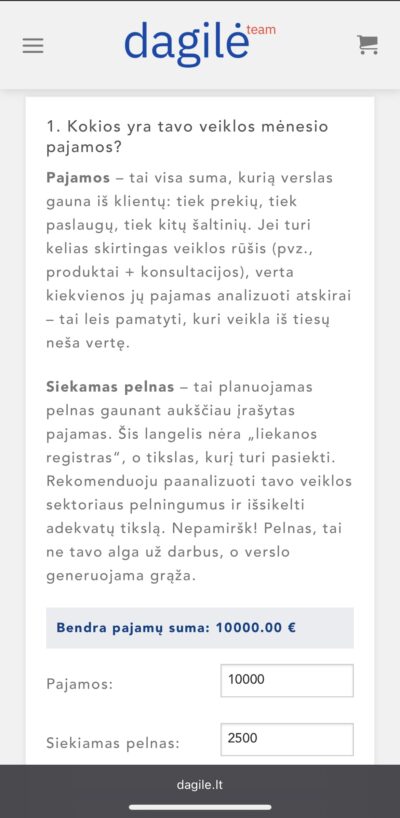 Interaktyvi verslo pajamų – išlaidų skaičiuoklė
