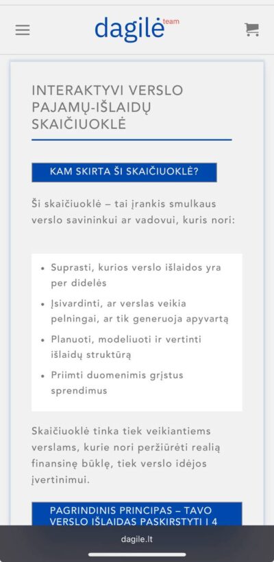 Interaktyvi verslo pajamų – išlaidų skaičiuoklė